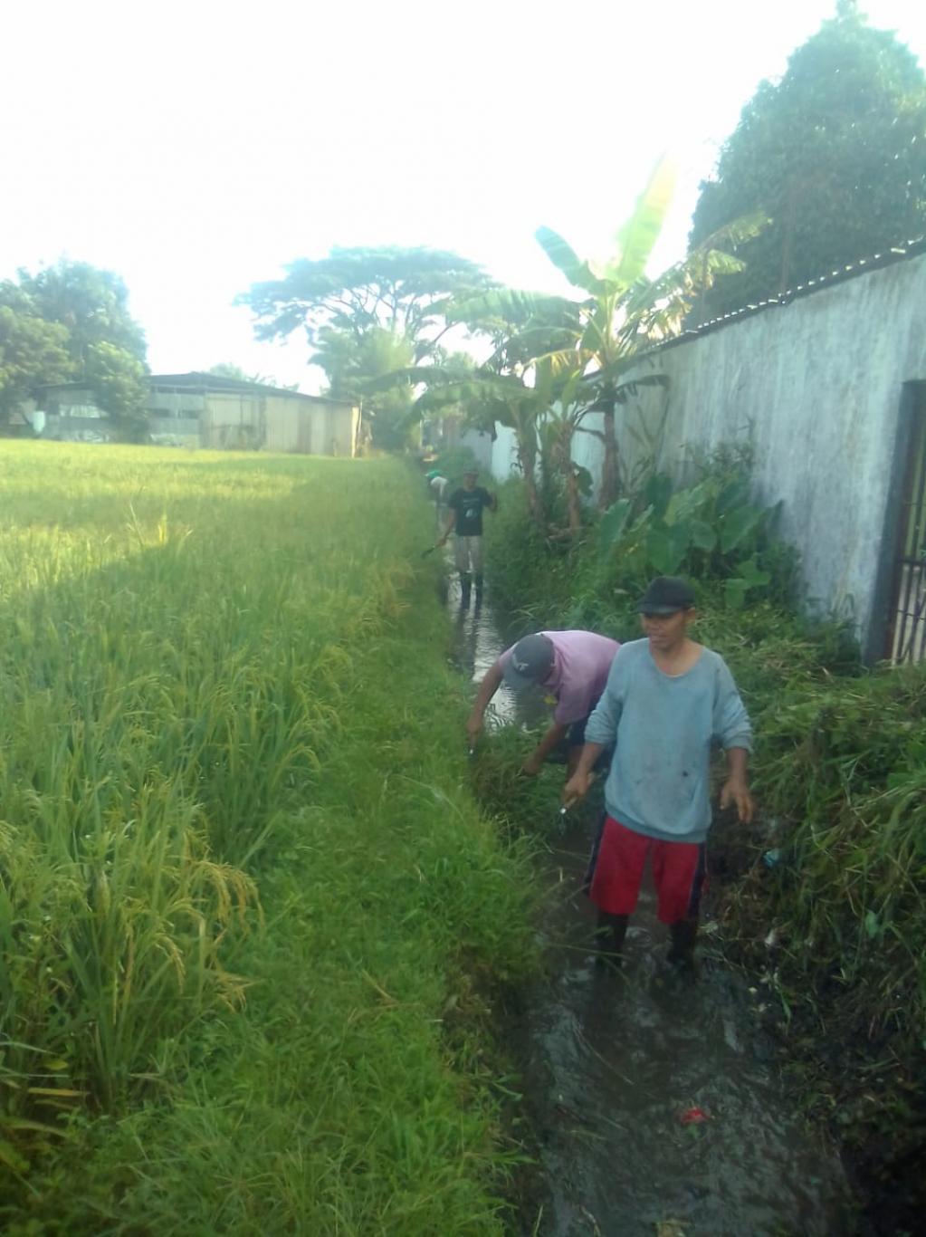 perawatan saluran irigasi dusun Kedaton TA 2018